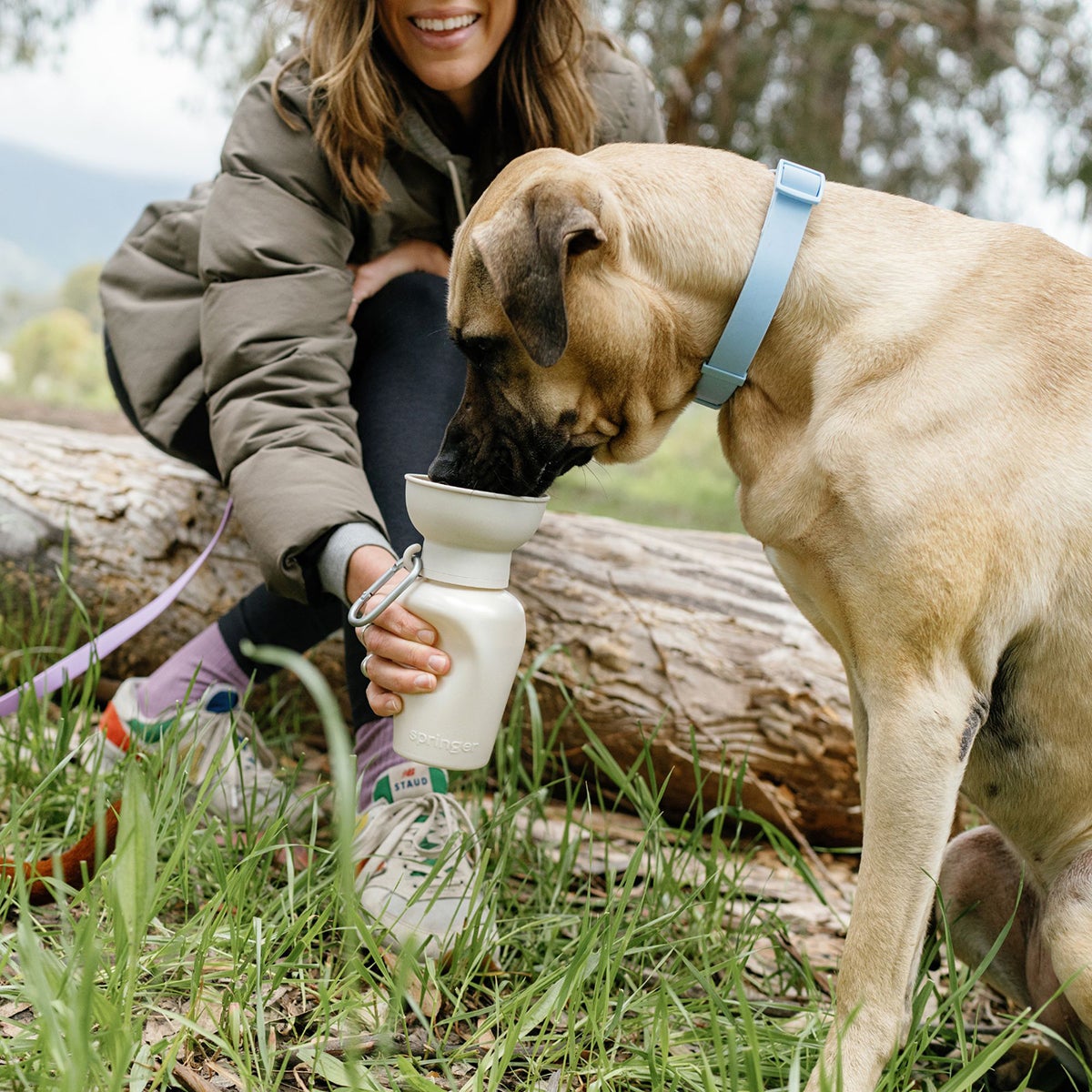 Flip Dog Travel Bottle | The Container Store